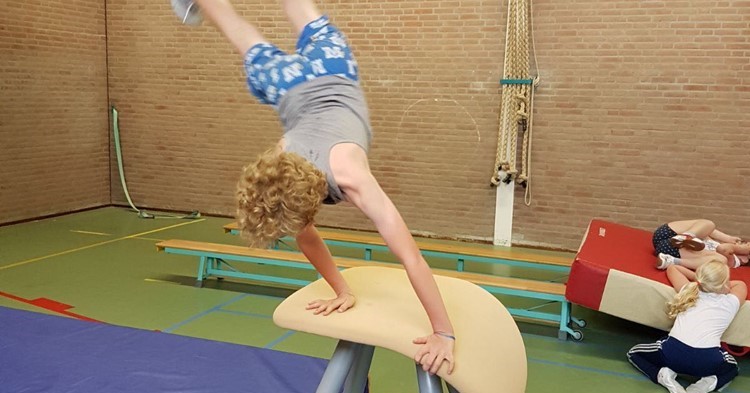 Gymgroep voor kinderen met een beperking afbeelding nieuwsbericht Gymgroep voor kinderen met een beperking afbeelding nieuwsbericht
