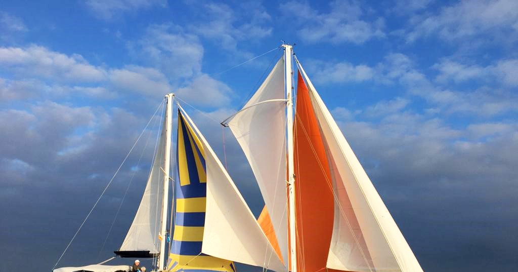 SailWise zoekt mensen met een beperking voor grote zeilrace afbeelding nieuwsbericht SailWise zoekt mensen met een beperking voor grote zeilrace afbeelding nieuwsbericht