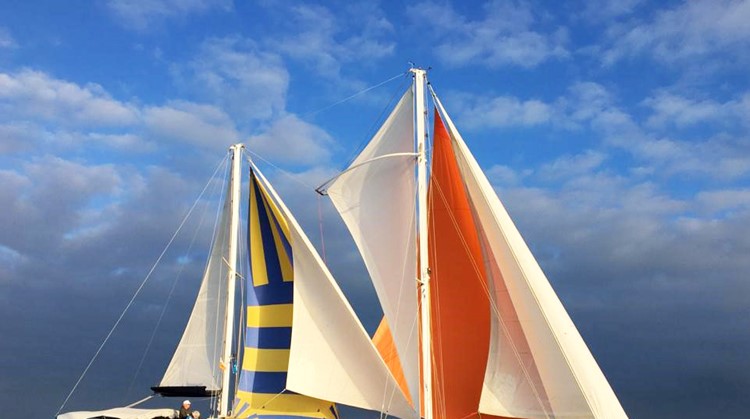 SailWise zoekt mensen met een beperking voor grote zeilrace afbeelding nieuwsbericht