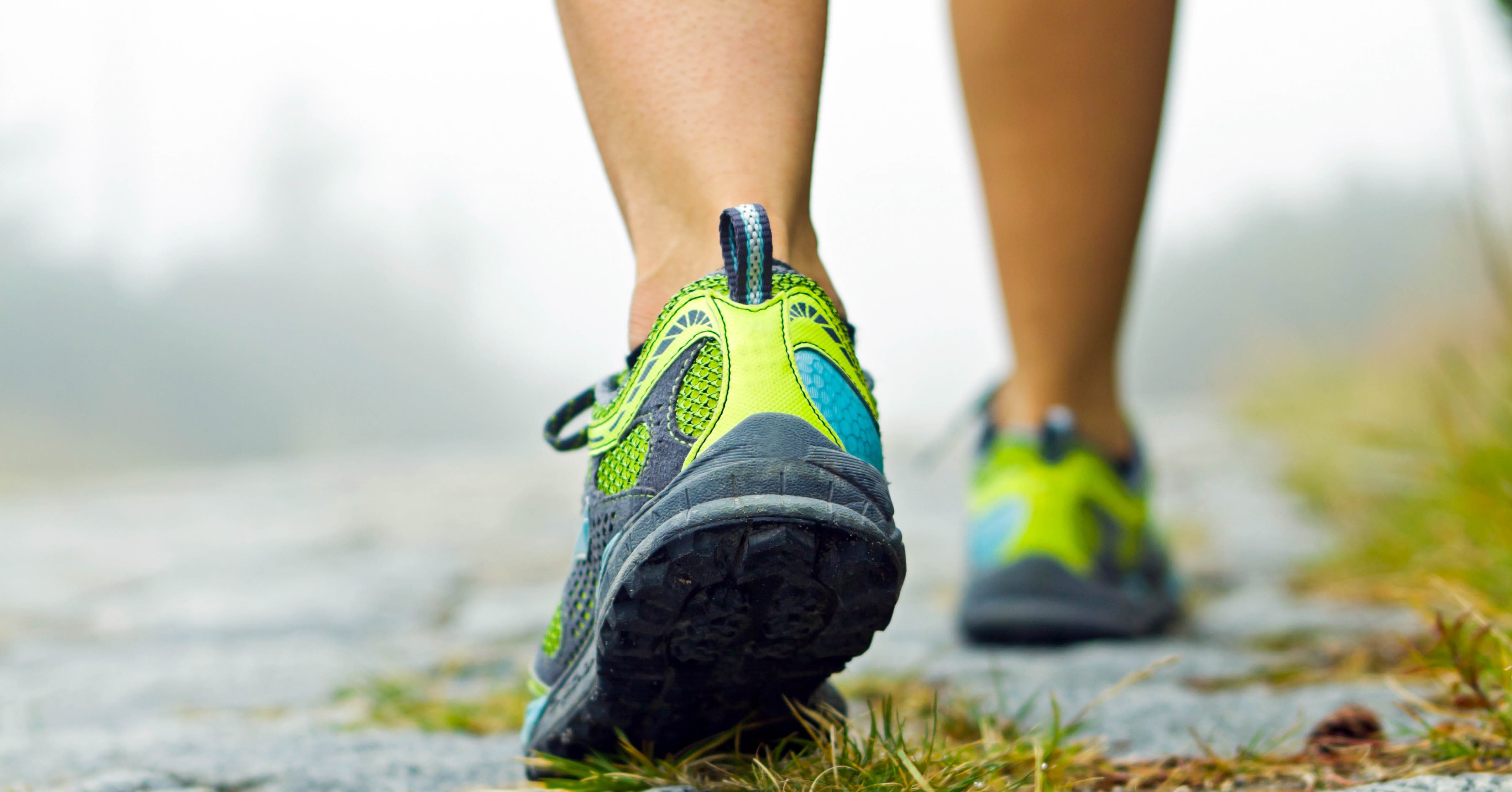 Doe mee aan de Unieke Wandeling tijdens de SONS 2020 in Den Haag! afbeelding nieuwsbericht Doe mee aan de Unieke Wandeling tijdens de SONS 2020 in Den Haag! afbeelding nieuwsbericht