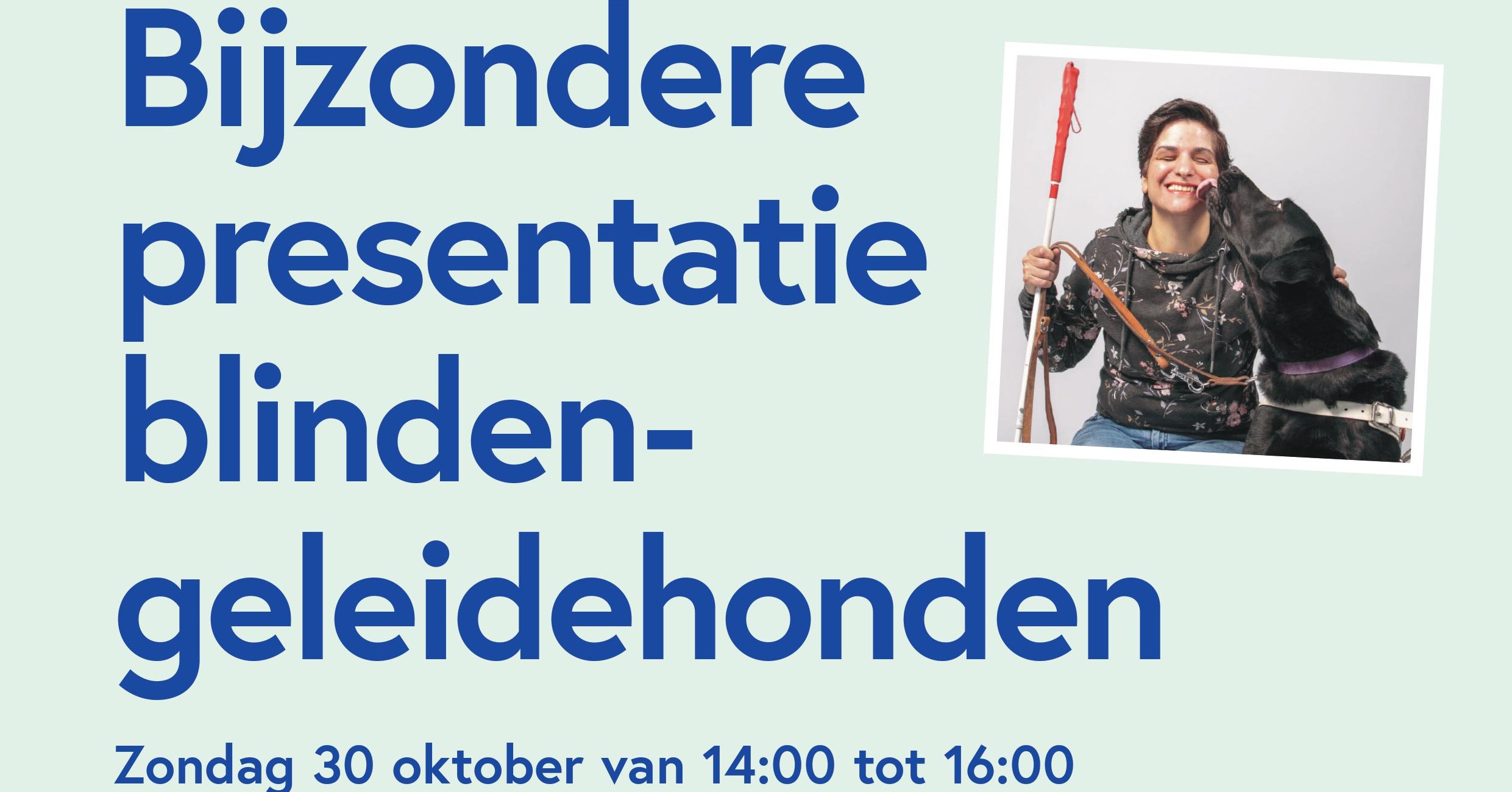 Bijzondere presentatie blindengeleidehonden afbeelding nieuwsbericht Bijzondere presentatie blindengeleidehonden afbeelding nieuwsbericht