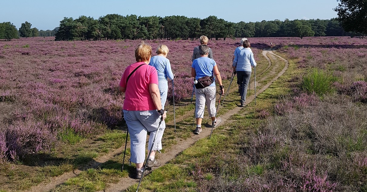 25 september: kennismaken met Nordic Walking afbeelding nieuwsbericht 25 september: kennismaken met Nordic Walking afbeelding nieuwsbericht