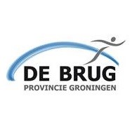 Zwemwedstrijden De Brug afbeelding agendaitem