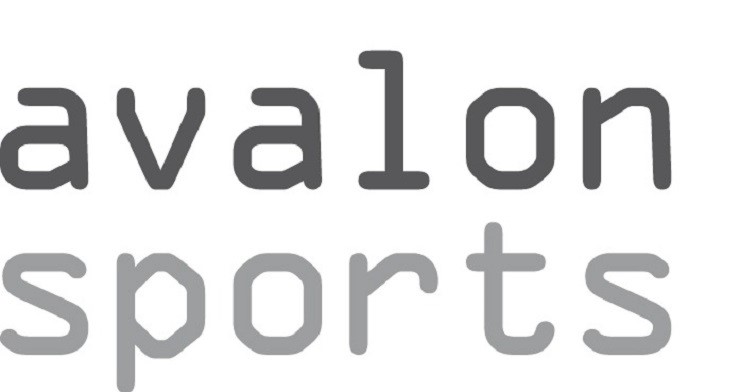 Boogschieten bij Avalon-Sports. afbeelding nieuwsbericht