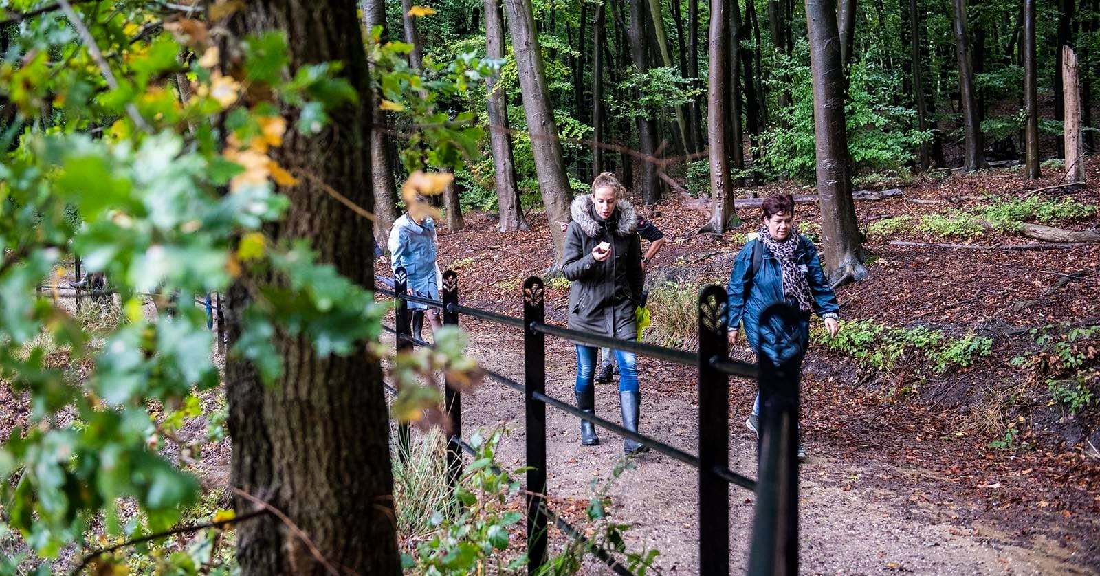 Januari = wandelmaand! Kom jij met je collega's ook in beweging? afbeelding nieuwsbericht Januari = wandelmaand! Kom jij met je collega's ook in beweging? afbeelding nieuwsbericht