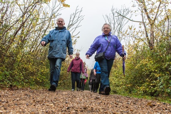 Wandelprogramma: ‘Elke stap telt’ voor 55+ start as donderdag afbeelding nieuwsbericht