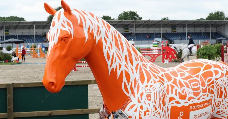 Paradag Outdoor Gelderland afbeelding nieuwsbericht
