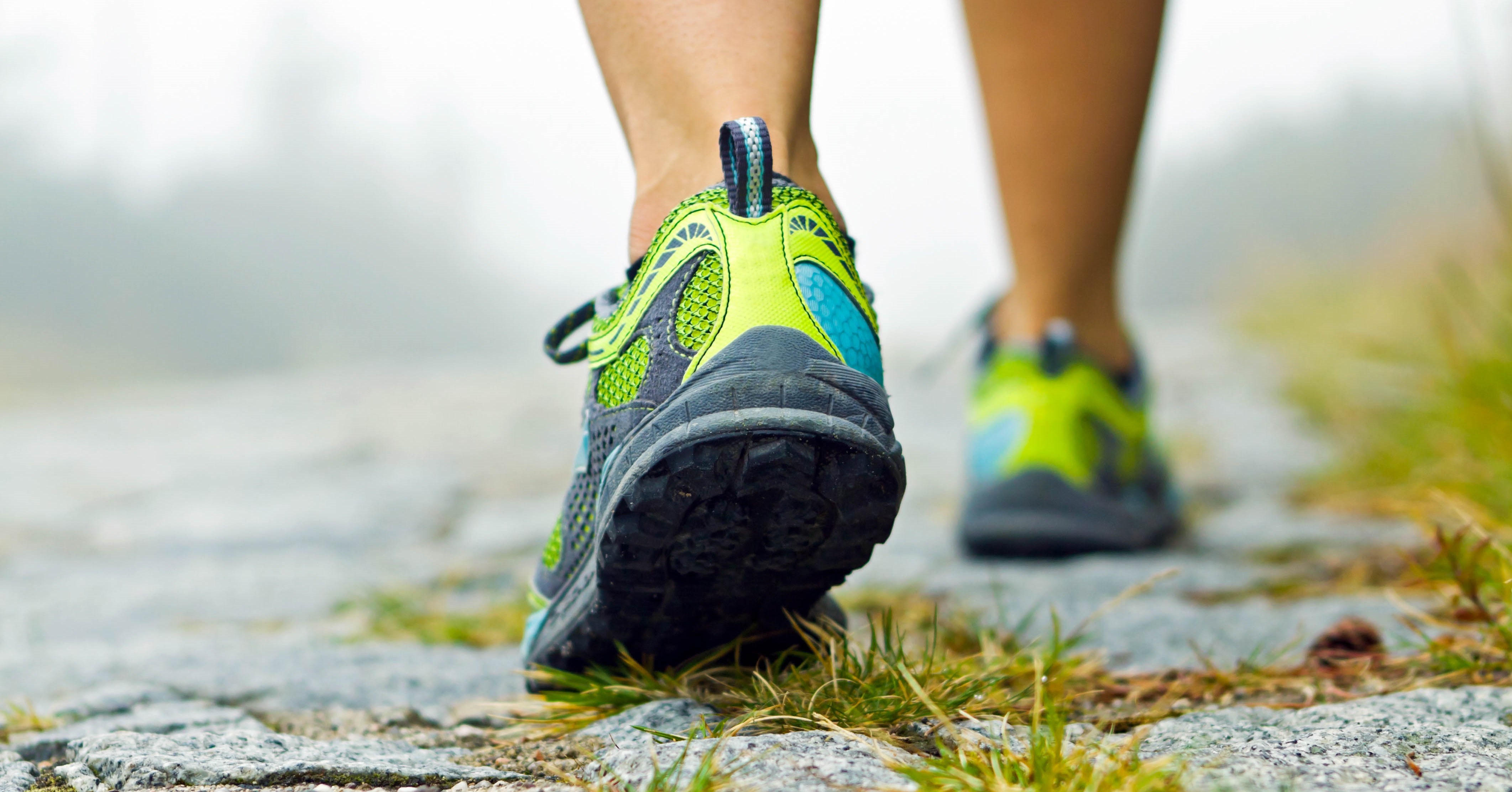 St. Nicolaas wandeltocht met 5km en 10km groepswandeling afbeelding nieuwsbericht St. Nicolaas wandeltocht met 5km en 10km groepswandeling afbeelding nieuwsbericht