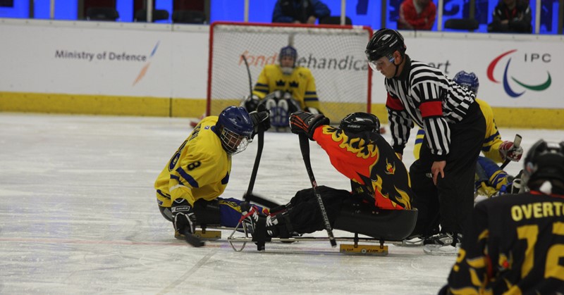 Sledge hockey (para ijshockey) op de IJsbaan in Haarlem afbeelding nieuwsbericht