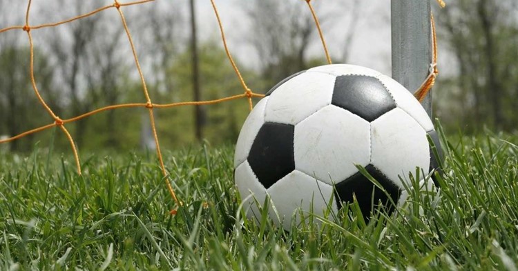 Online sessies G-voetbal door KNVB, ING en Fonds gehandicaptensport afbeelding nieuwsbericht