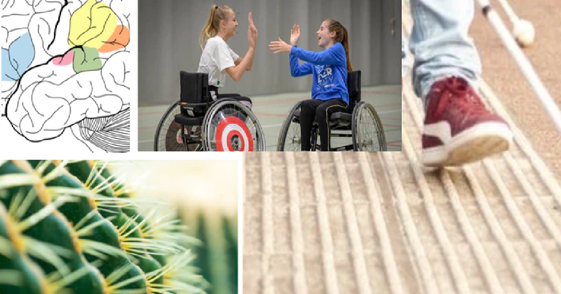 Vrijwilligersmiddag "Hoe pak ik het aan?" 30 oktober afbeelding nieuwsbericht Vrijwilligersmiddag "Hoe pak ik het aan?" 30 oktober afbeelding nieuwsbericht