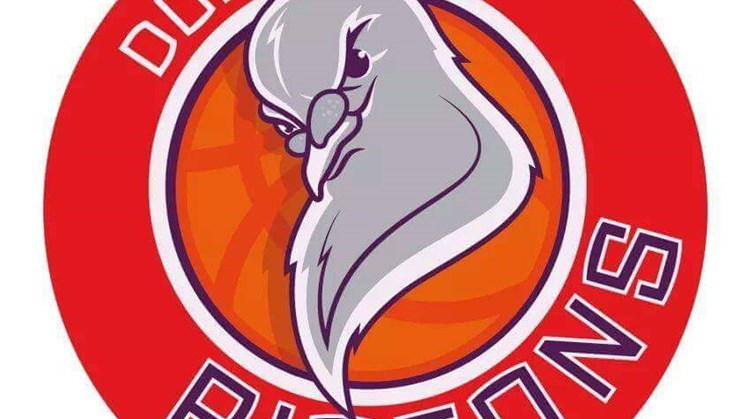 Rolstoelbasketbal van start bij Pigeons in Duiven afbeelding nieuwsbericht Rolstoelbasketbal van start bij Pigeons in Duiven afbeelding nieuwsbericht