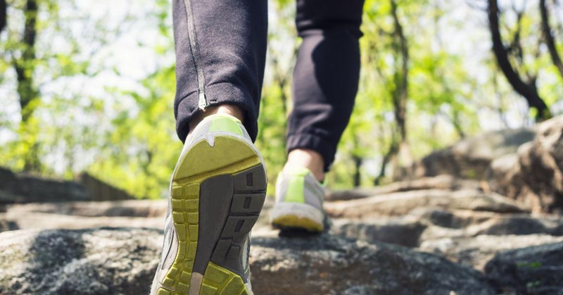 3 oktober herfstwandeling voor mensen met een visuele beperking afbeelding nieuwsbericht