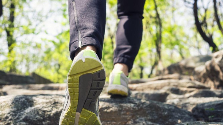 3 oktober herfstwandeling voor mensen met een visuele beperking afbeelding nieuwsbericht 3 oktober herfstwandeling voor mensen met een visuele beperking afbeelding nieuwsbericht