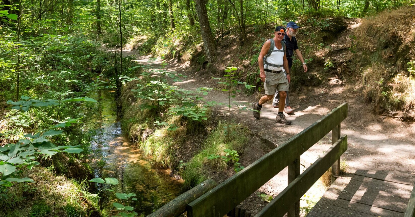 NIEUW: Wandelen met een chronische aandoening? Dat kan echt! afbeelding nieuwsbericht NIEUW: Wandelen met een chronische aandoening? Dat kan echt! afbeelding nieuwsbericht