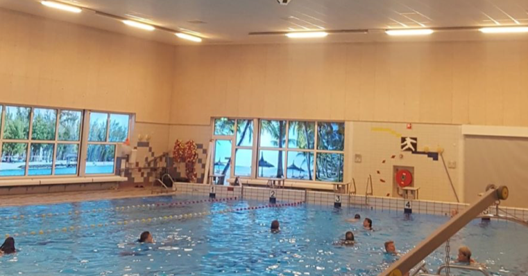 Zwemvierdaagse in Maassluis voor De Steenen Dijck zwemmers  afbeelding nieuwsbericht