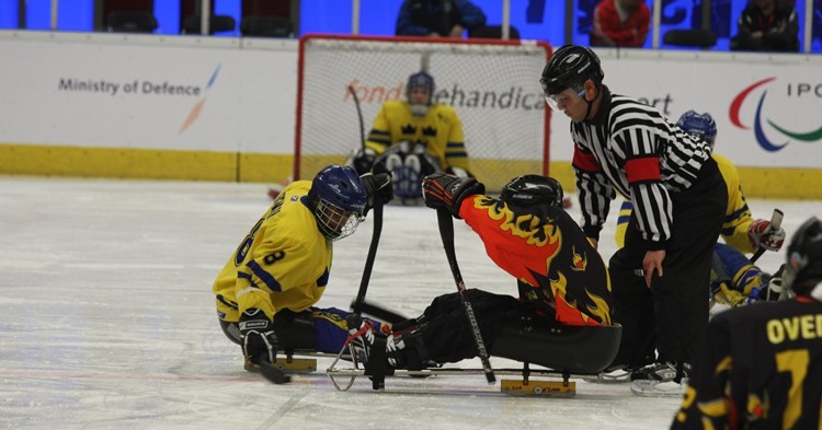  3 clinics Para-ijshockey in Haarlem afbeelding nieuwsbericht