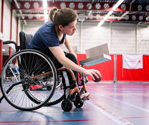 NK boccia in Kerkdriel afbeelding nieuwsbericht