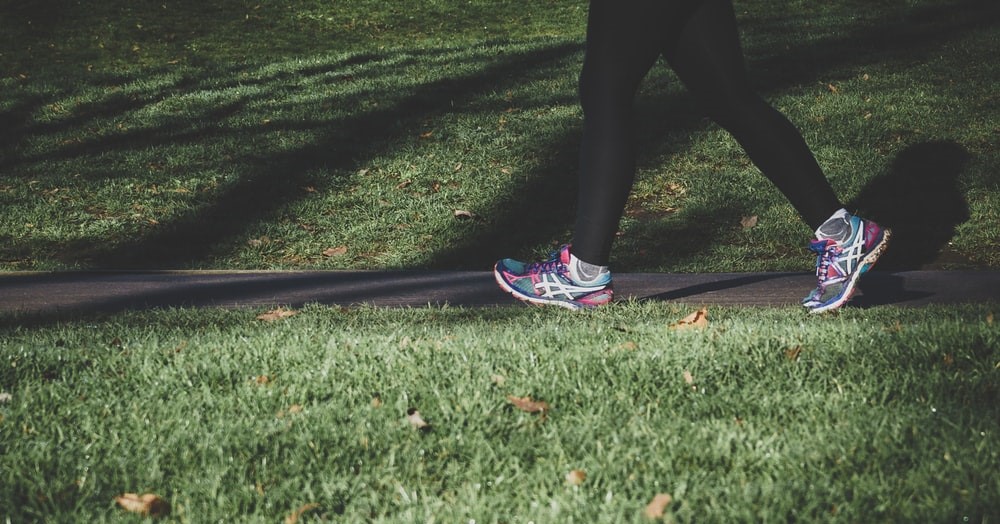 Op stap in Park Presikhaaf met wandelaars met een psychiatrische aandoening afbeelding nieuwsbericht Op stap in Park Presikhaaf met wandelaars met een psychiatrische aandoening afbeelding nieuwsbericht