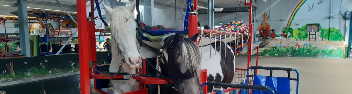 Header afbeelding van dit project