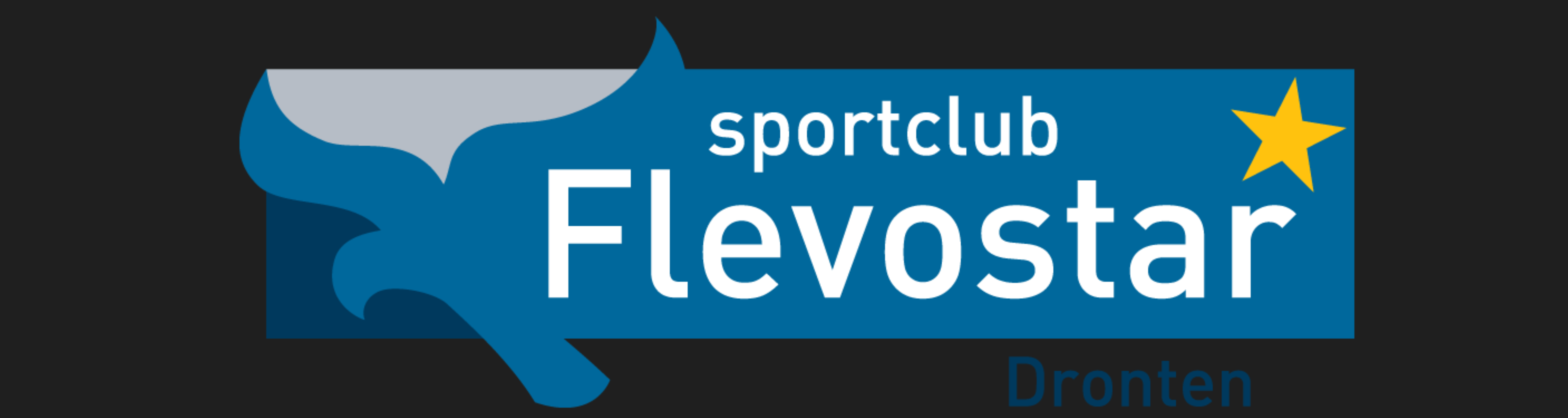 Header afbeelding van dit project