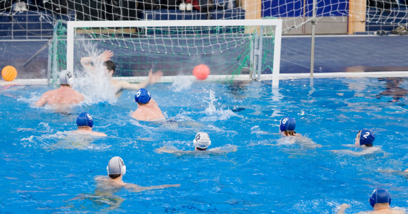 Sport van de week: waterpolo! afbeelding nieuwsbericht Sport van de week: waterpolo! afbeelding nieuwsbericht
