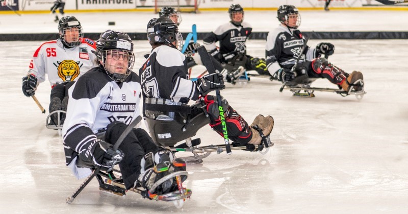 Amsterdamse Pluim nieuws: visitatiebezoek bij Amsterdam Tigers afbeelding nieuwsbericht Amsterdamse Pluim nieuws: visitatiebezoek bij Amsterdam Tigers afbeelding nieuwsbericht