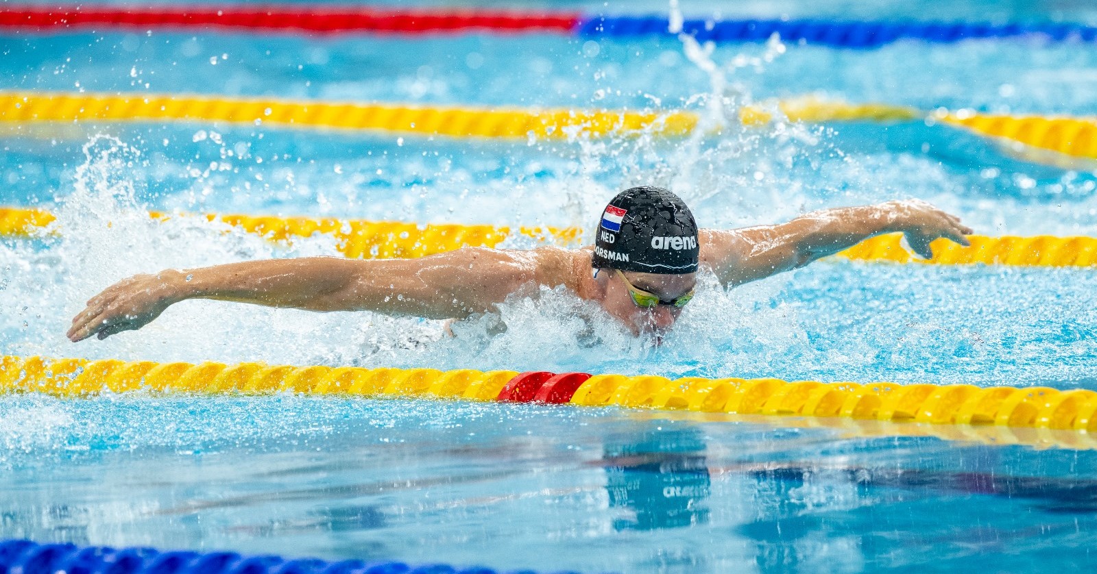 Vijf Nederlandse wereldkampioenen bij WK Parazwemmen! afbeelding nieuwsbericht Vijf Nederlandse wereldkampioenen bij WK Parazwemmen! afbeelding nieuwsbericht