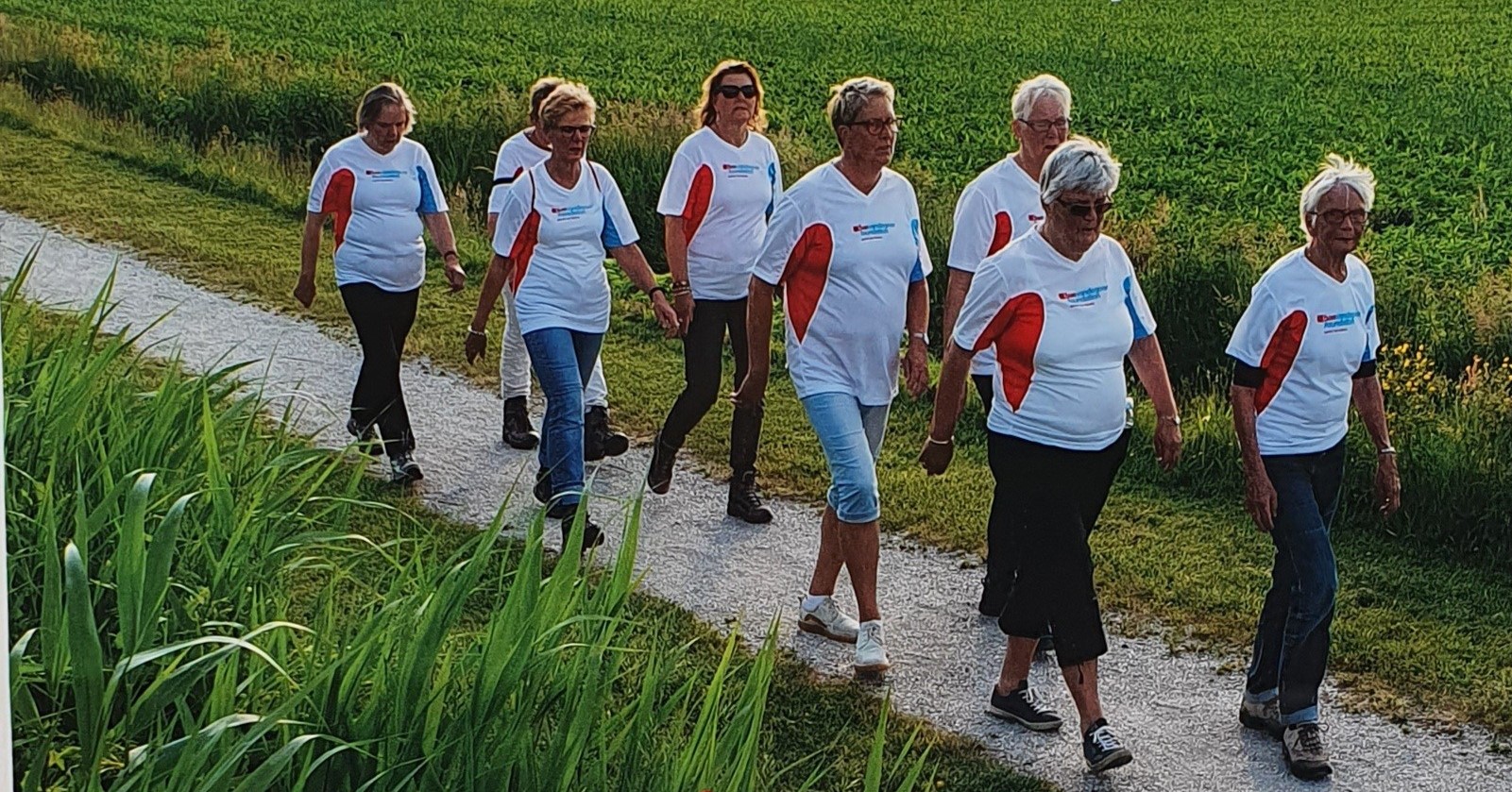 Wandeluitdaging in Doesburg; een chronische of lichamelijke aandoening? Iedereen kan meedoen! afbeelding nieuwsbericht Wandeluitdaging in Doesburg; een chronische of lichamelijke aandoening? Iedereen kan meedoen! afbeelding nieuwsbericht