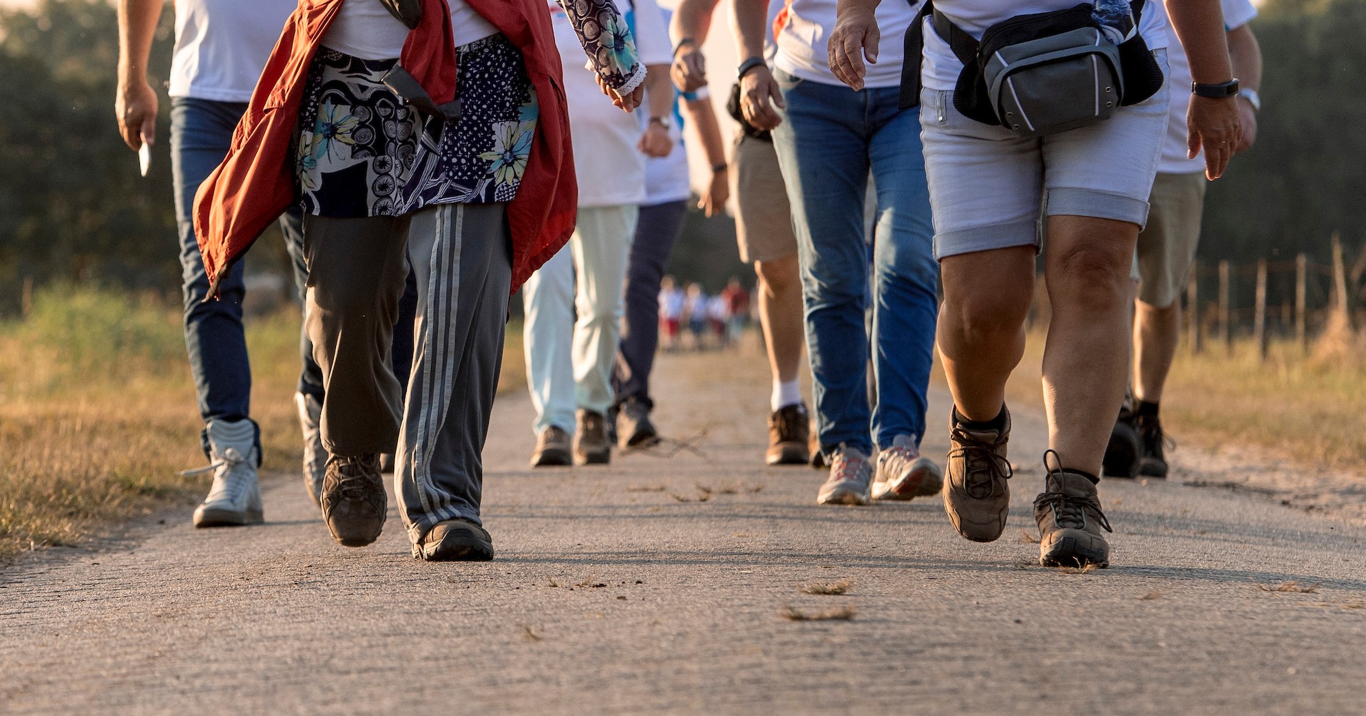 Start deze zomer met wandelen in Doesburg! afbeelding nieuwsbericht Start deze zomer met wandelen in Doesburg! afbeelding nieuwsbericht