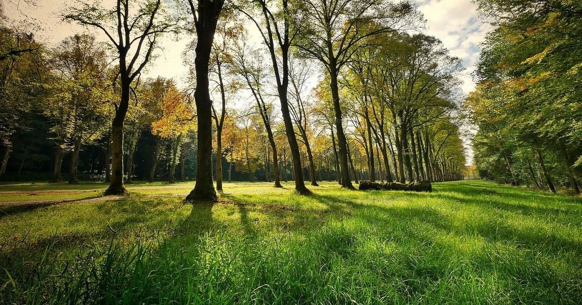 Prikkelarm sporten en bewegen: waar is behoefte aan? afbeelding nieuwsbericht Prikkelarm sporten en bewegen: waar is behoefte aan? afbeelding nieuwsbericht