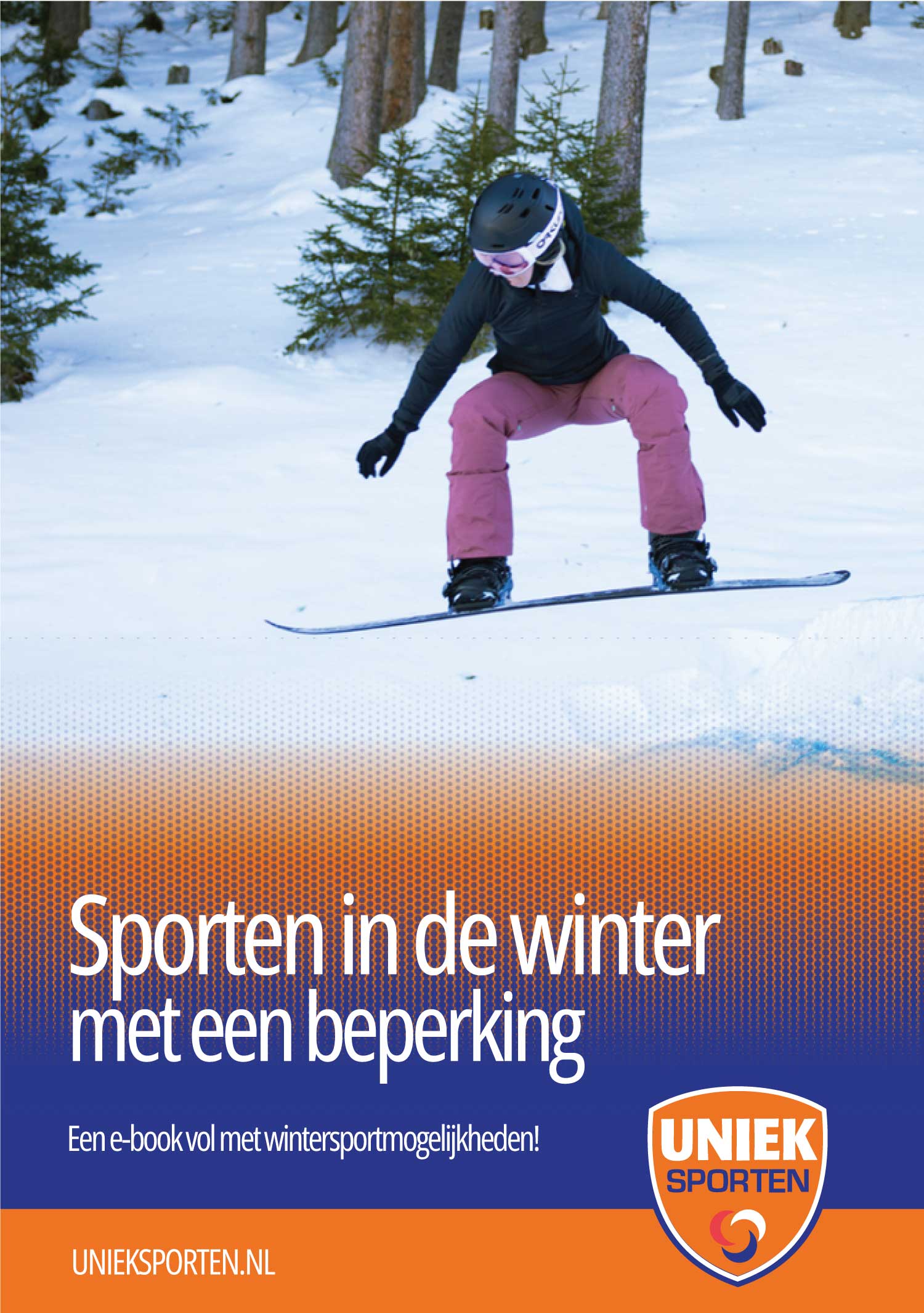 afbeelding boek - Klik voor inkijkexemplaar