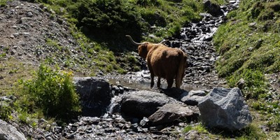 Bekijk foto