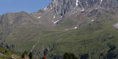 Bekijk foto